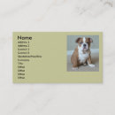 Suche nach englische bulldoggen visitenkarten Welpe