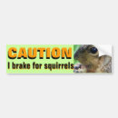 Suche nach eichhörnchen autozubehör Für
