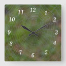 Suche nach spiderweb wanduhren Spinngewebe