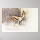 Suche nach gazelle poster Wüste