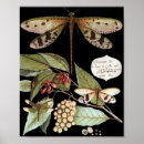 Suche nach nature poster Obst