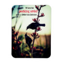 Suche nach kampf magnete Für alle