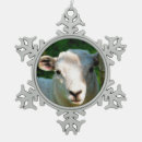 Suche nach niedliche schafe ornamente Für alle