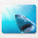 Suche nach weiße haie mousepads Unterwasser