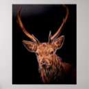 Suche nach stag poster Jungtier