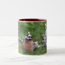 Suche nach lemurs Affen