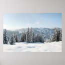 Suche nach schnee und eis poster Wald