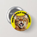 Suche nach überrascht buttons Katze