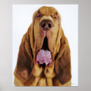 Suche nach die jagdhunde poster Haustiere