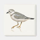 Suche nach friedlich magnete Natur