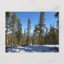 Suche nach sequoia postkarten Bäume