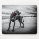 Suche nach roter hund mousepads Fotografie