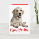 Suche nach gelbes labrador retriever karten Für alle