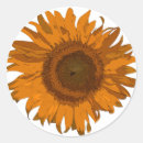 Suche nach pop aufkleber Hübsch