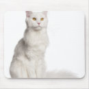 Suche nach sitzen mousepads Niedliche katzen