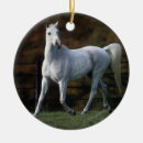 Suche nach arabisches pferd ornamente Bob langrish