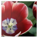 Suche nach fokus fliesen Blume