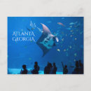 Suche nach mantarochen postkarten Ozean