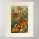 Suche nach sea life poster Ozeane