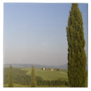 Suche nach siena fliesen Reiseziel