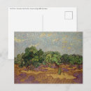 Suche nach olivenbäume postkarten Olivenhain