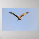 Suche nach beuten poster Natur