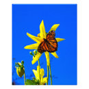 Suche nach blaue schmetterlinge poster Natur