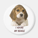 Suche nach beagle magnete Welpe