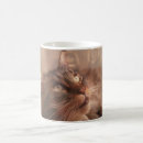 Suche nach waschbär kaffee tassen Katzen