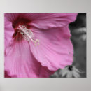 Suche nach hibiscus poster Floral
