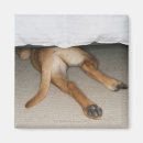 Suche nach füße magnete Spaß