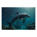 Suche nach meeressäugetiere poster Delfin