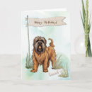Suche nach briard karten Für alle