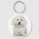 Suche nach bichon frise schlüsselanhänger Hund
