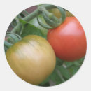 Suche nach rote tomaten aufkleber Früchte