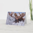 Suche nach nationales karten Gebirge