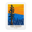 Suche nach riesig magnete Jede person