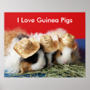 Suche nach pigs poster Für kinder
