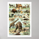 Suche nach 1922 kunst Tiere