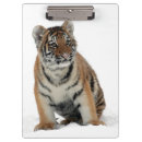 Suche nach süßes tier klemmbrett Tiger