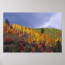 Suche nach utah herbst poster Nordamerika