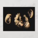 Suche nach tiere küssen postkarten Für sie