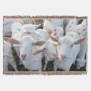 Suche nach ziegen decken Für alle