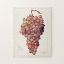 Suche nach trauben puzzle Obst