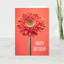 Suche nach gerbera blume karten Griechen