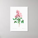Suche nach redouté Botanisch