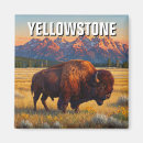 Suche nach in yellowstone magnete Landschaft