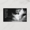 Suche nach tiervisitenkarte Katzen
