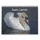 Suche nach wasservögel kalender Schwan