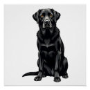 Suche nach schwarzer labrador retriever poster Lustig